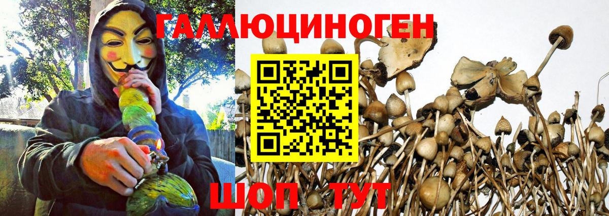 наркота  Вход с VPN  Электросталь  Галлюциногенные грибы прущие грибы  Псилоцибиновые грибы MAGIC MUSHROOMS 
